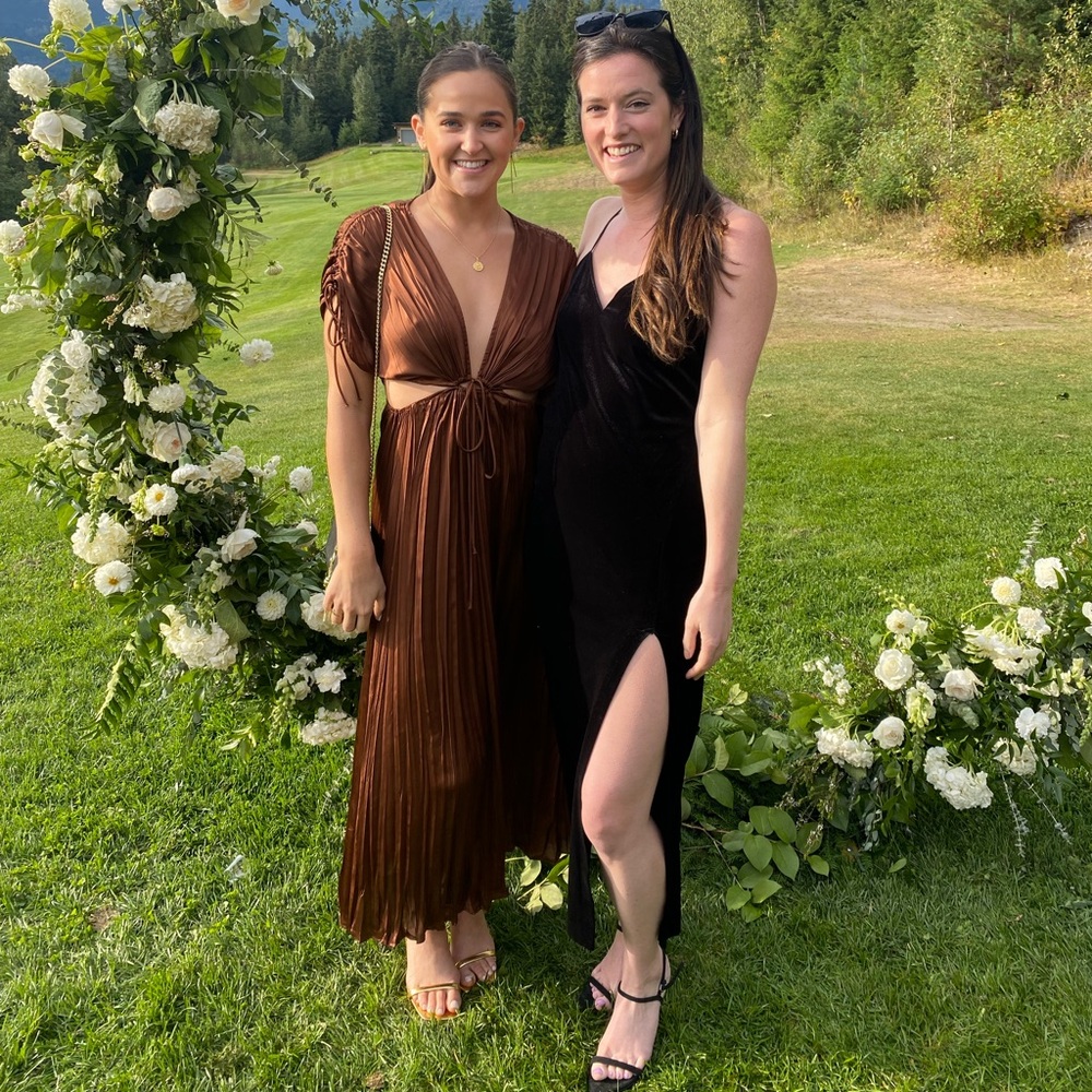 Brown silk dress